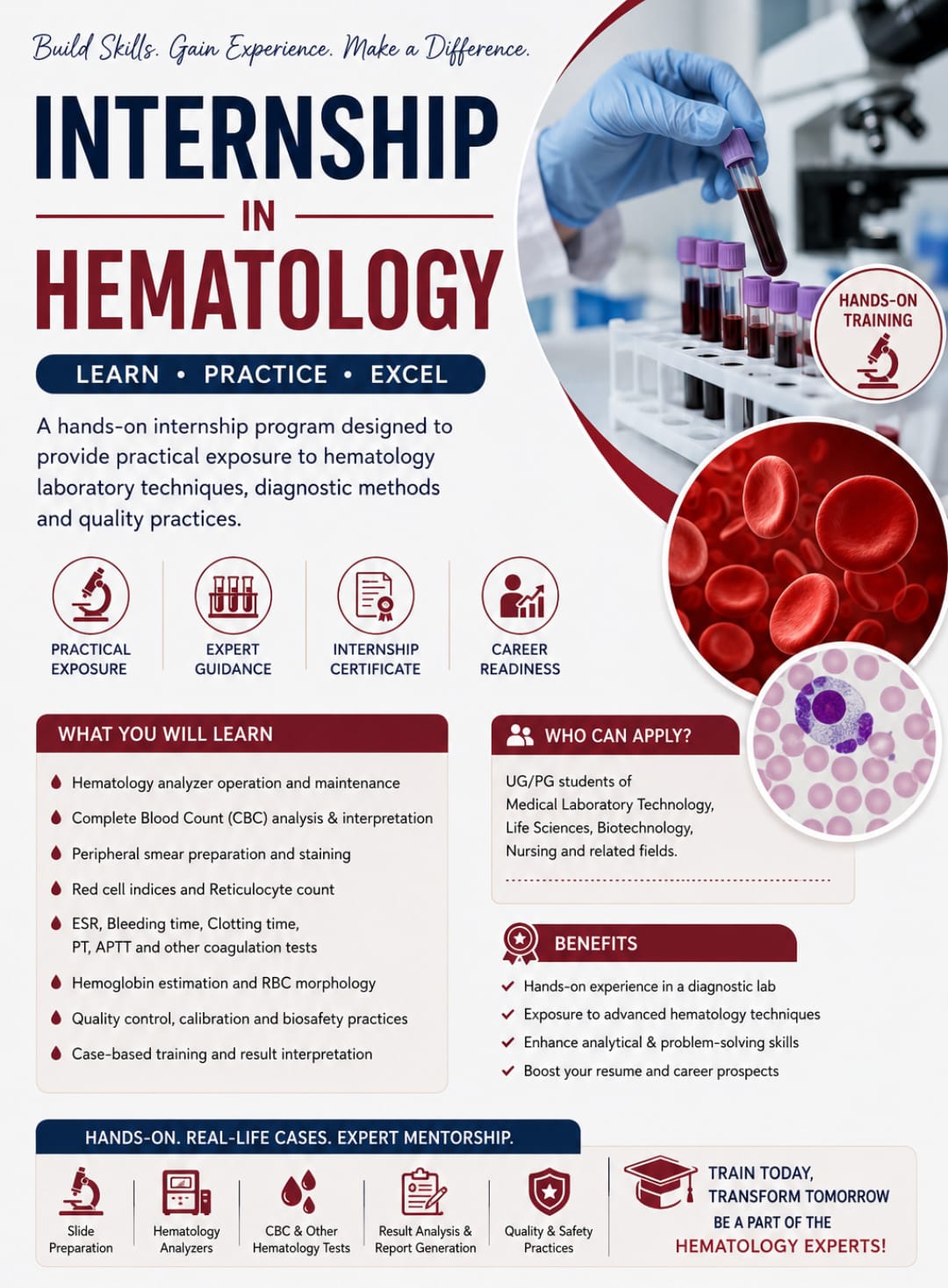 Hematology internship program brochure