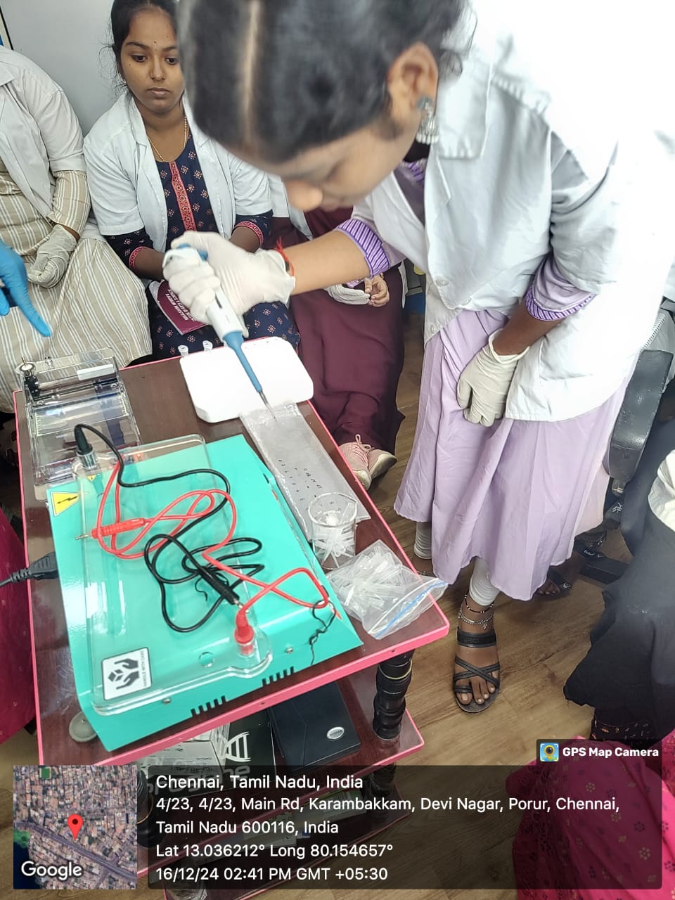 Gel loading practical